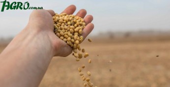 1agro.com.ua