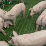 1agro.com.ua