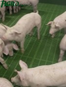1agro.com.ua