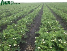 1agro.com.ua