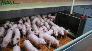 1agro.com.ua