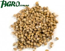 1agro.com.ua