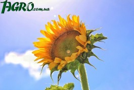 1agro.com.ua