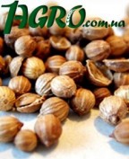 1agro.com.ua
