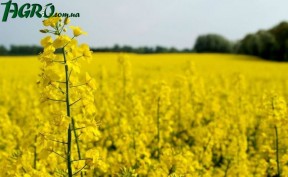1agro.com.ua