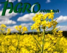 1agro.com.ua