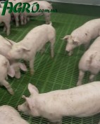 1agro.com.ua