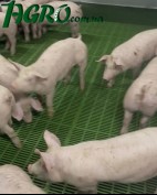 1agro.com.ua