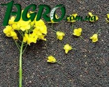1agro.com.ua