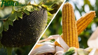 1agro.com.ua