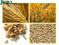 1agro.com.ua