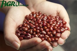 1agro.com.ua