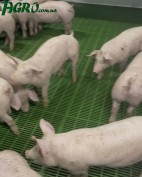 1agro.com.ua