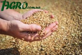 1agro.com.ua