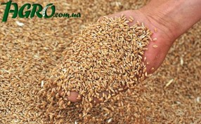 1agro.com.ua