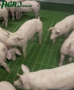 1agro.com.ua