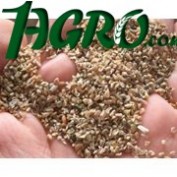 1agro.com.ua