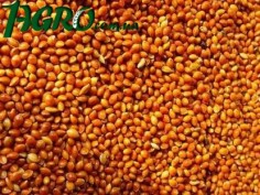 1agro.com.ua