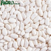1agro.com.ua