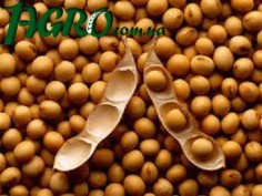 1agro.com.ua