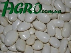 1agro.com.ua