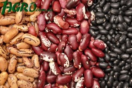 1agro.com.ua