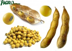 1agro.com.ua