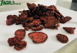 1agro.com.ua