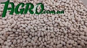 1agro.com.ua