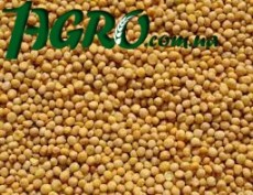 1agro.com.ua