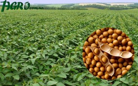 1agro.com.ua