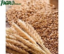 1agro.com.ua
