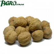 1agro.com.ua