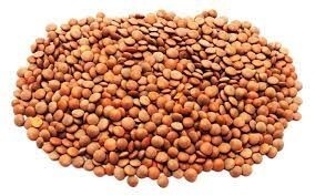 1agro.com.ua