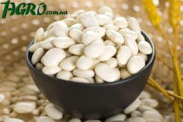1agro.com.ua