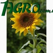 1agro.com.ua