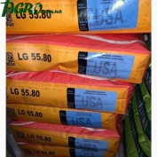 1agro.com.ua