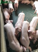 1agro.com.ua