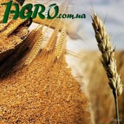 1agro.com.ua