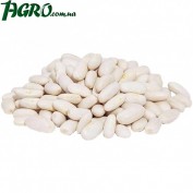 1agro.com.ua
