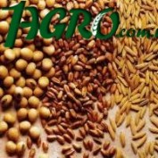 1agro.com.ua