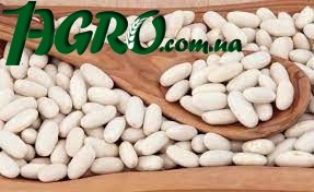 1agro.com.ua