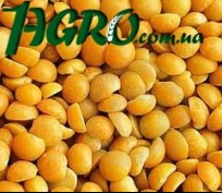 1agro.com.ua