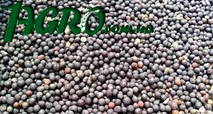 1agro.com.ua