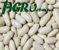 1agro.com.ua