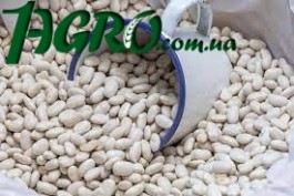1agro.com.ua