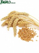 1agro.com.ua