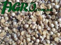 1agro.com.ua