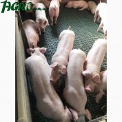 1agro.com.ua