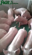 1agro.com.ua